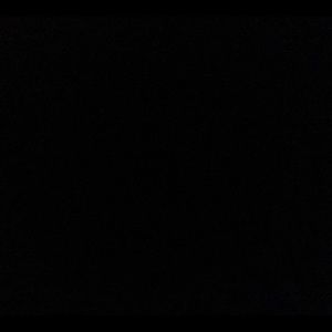 Meet your Posher, Toya